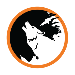 Sponsor 4 Logo